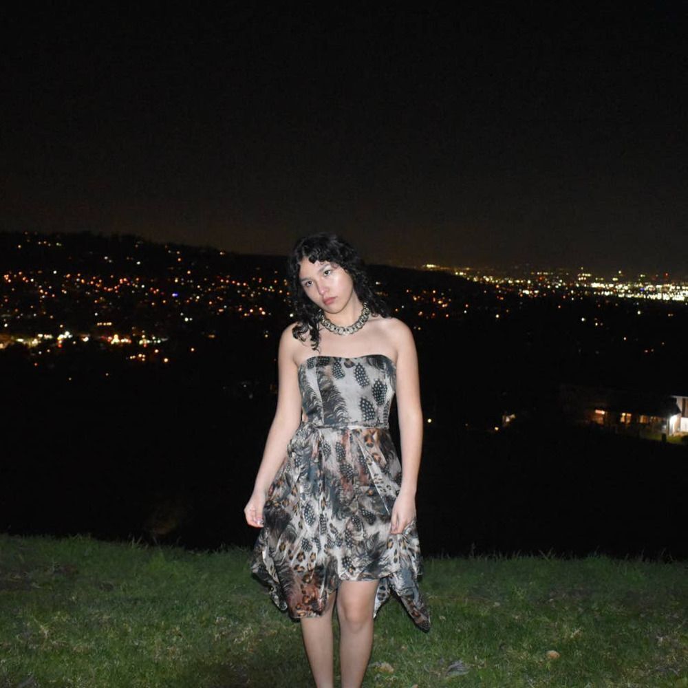 NWT Ever New Melbourne Animal Print Handkerchief Hem Strapless Dress- 6